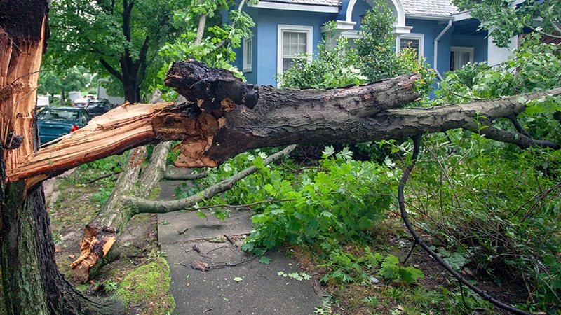 Windstorm Insurance